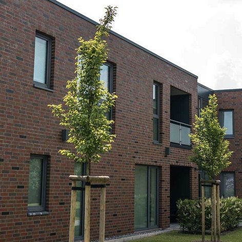 Die Fassade eines modernen Hauses mit klaren Linien, großen Fenstern und einer einladenden Umgebung aus Rasen und Bäumen.