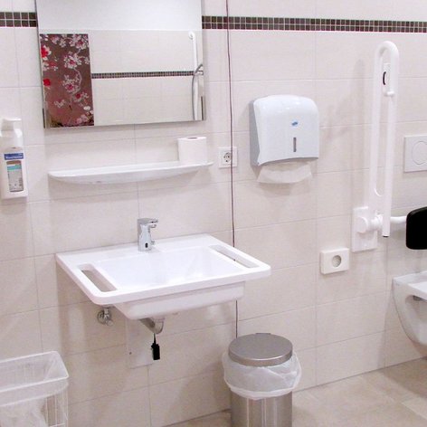 Ein modernes Badezimmer mit einem Waschbecken, einer Toilette und Haltegriffen für zusätzliche Sicherheit.